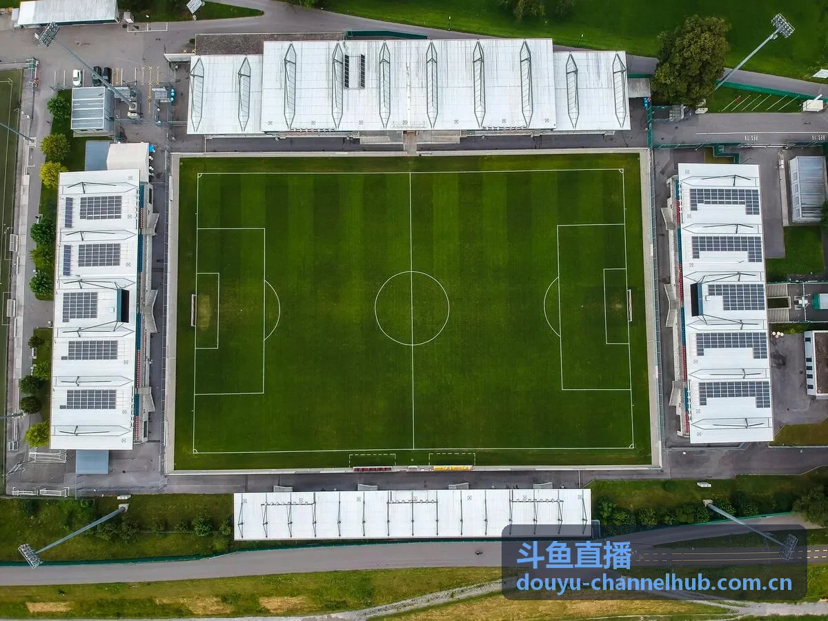 斗鱼直播音乐科技频道乐器主播观察